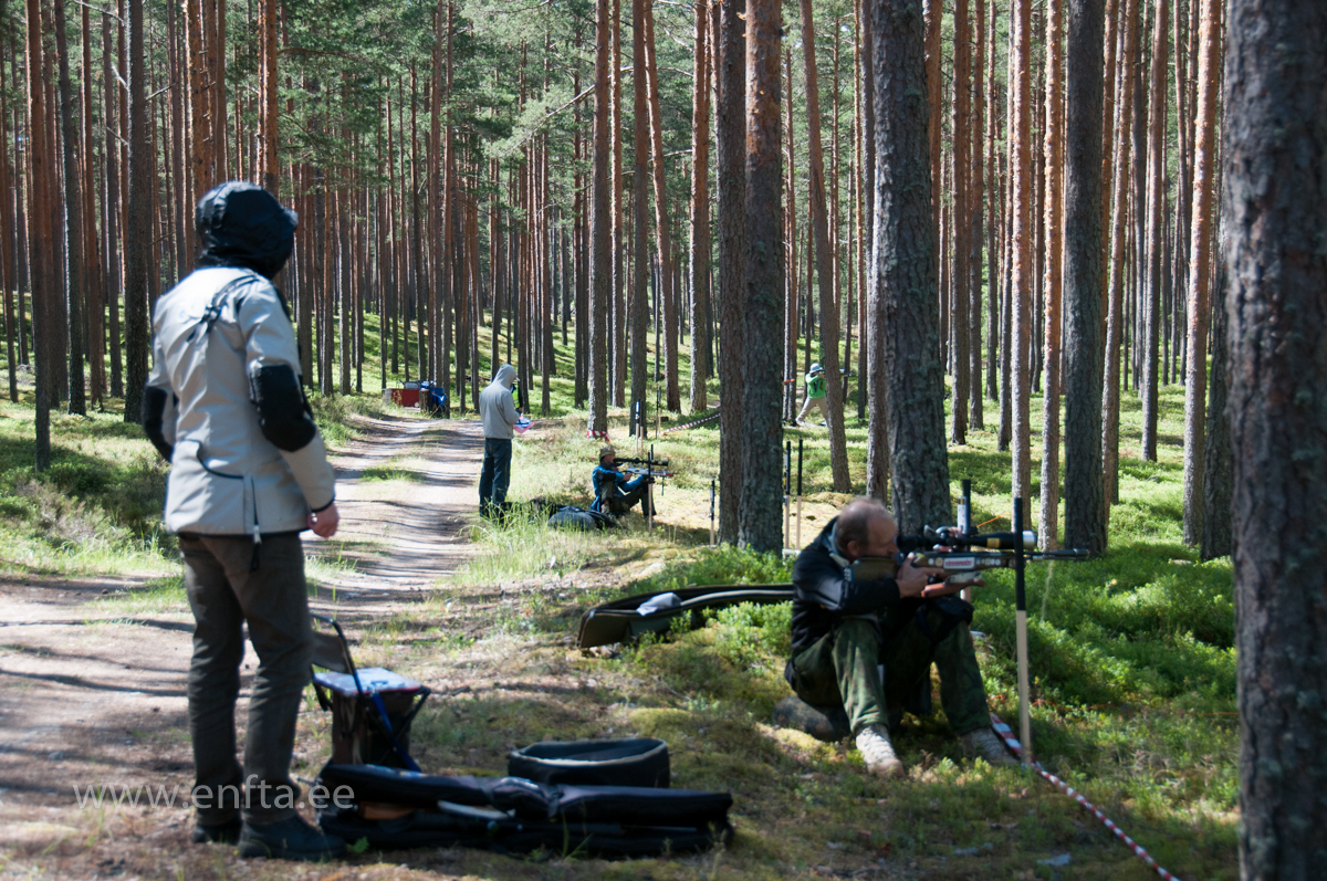 PFTK  in Joulumae (66)